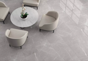 Maximus-pulpis-light-grey1.jpg.webp